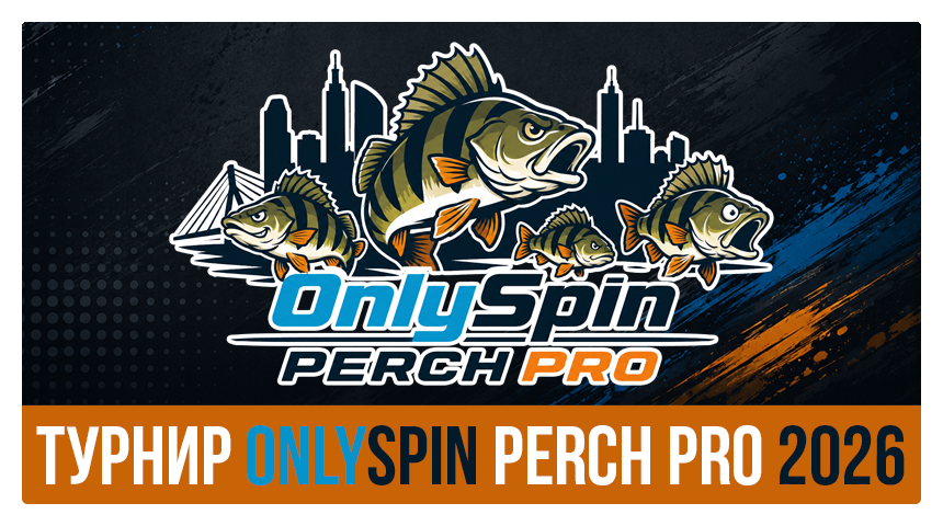 ONLYSPIN PERCH PRO 2026