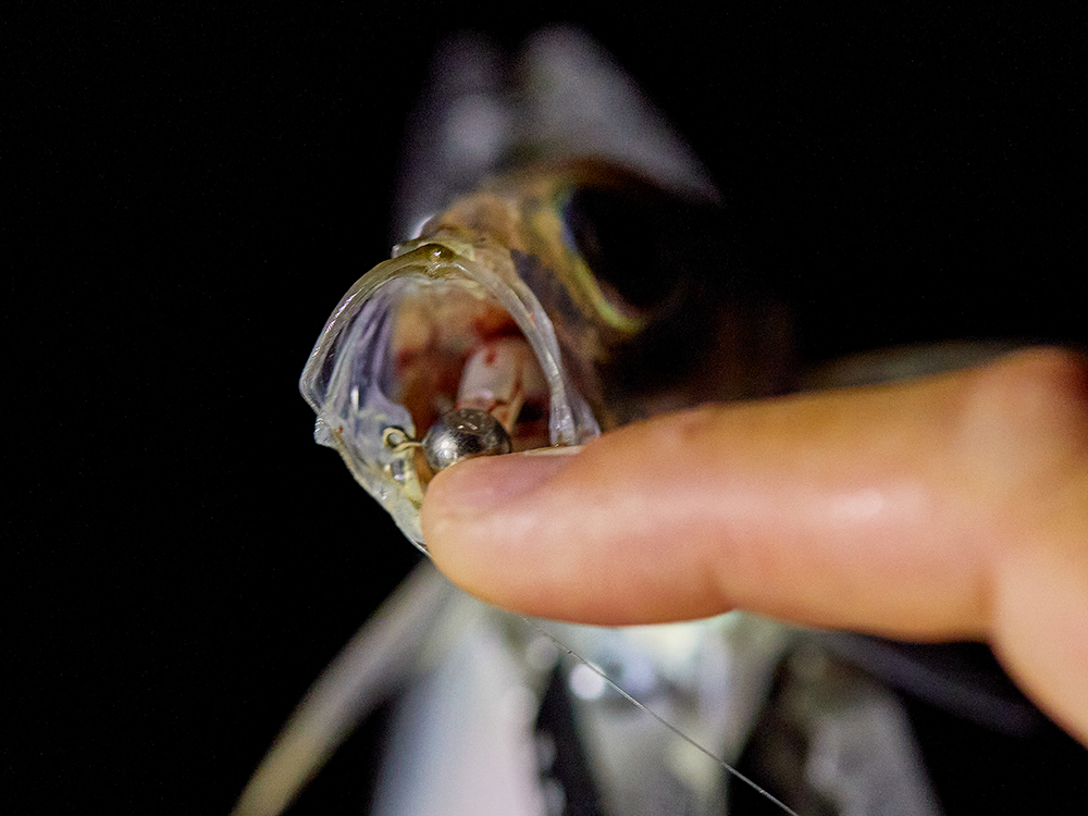 Джиг-головки Gamakatsu Yoi Hime AJ Custom TG Round Type Nano Alpha #4 1gr 3шт Джиг-головки Gamakatsu Yoi Hime AJ Custom TG Round Type Nano Alpha #4 1gr 3шт