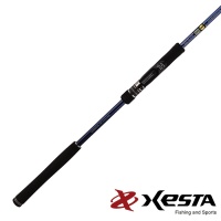 Спиннинг Xesta Runway SRF 3.14m 10-50gr 10.3M Multi Navigator Спиннинг Xesta Runway SRF 3.14m 10-50gr 10.3M Multi Navigator