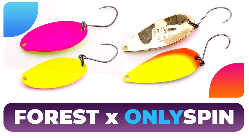 ПОСТАВКА FOREST x ONLYSPIN color