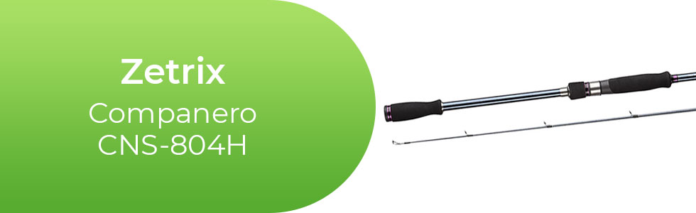 Zetrix-Companero-CNS-804H.jpg