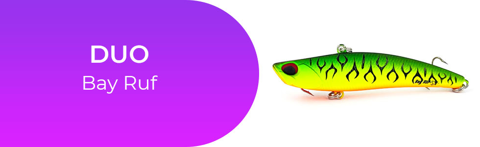 DUO-Bay-Ruf.jpg