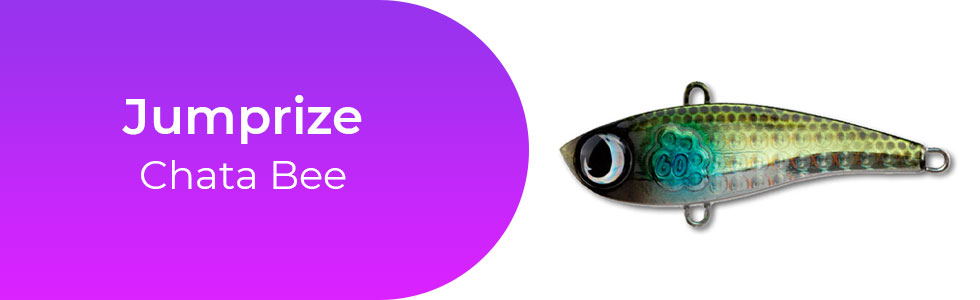 Jumprize-Chata-Bee.jpg