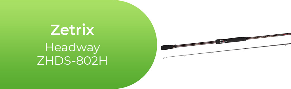 Zetrix-Headway-ZHDS-802H.jpg