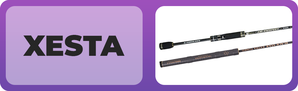 Xesta.png Xesta.png