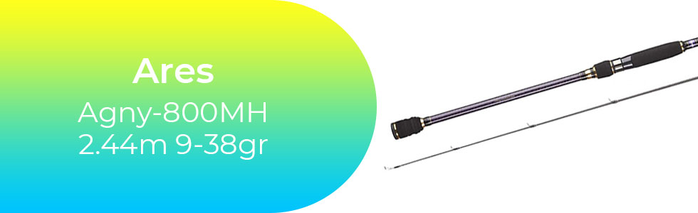Ares-Agny-800MH-2.44m-9-38g.jpg