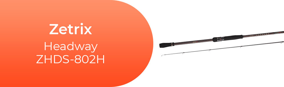 Zetrix-Headway-ZHDS-802H.jpg