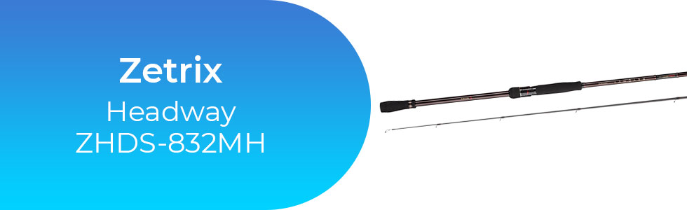 Zetrix-Headway-ZHDS-832MH.jpg