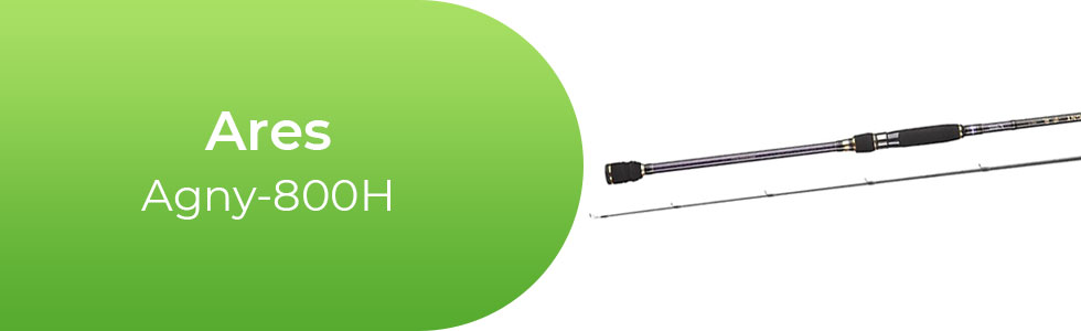 Ares-Agny-800H.jpg