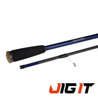 Спиннинг Jig It Team Dubna Aquatory 2.44m 12-40gr AQ-802MHS