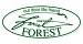 Forest Forest