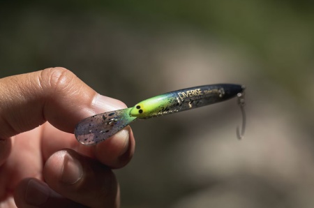 Воблер Shimano Diverise 55F 004 Monster Switch