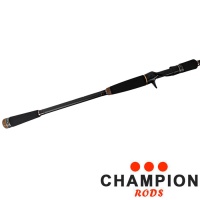 Спиннинг кастинговый Champion Rods Team Dubna Generation II 2.55m 18-70gr TDC2-842XH