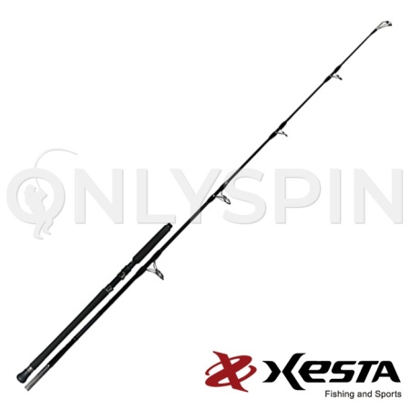 Спиннинг Xesta Catapult 2.54m 150gr XC-S83-8