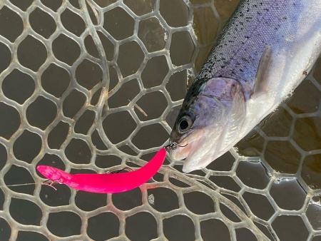 Воблер Jackall Timon Pepino DR-SS Yazy Bondz