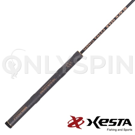 Спиннинг Xesta Black Star Extra Tuned 1.65m 0.2-3.5gr S55UL/L-S The Flow Control