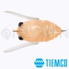 Воблер Tiemco Trout Micro Cicada 205 FL Clear Orange