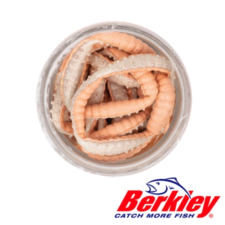 Мягкие приманки Berkley Power Honey Worm 25 Orange Pearl