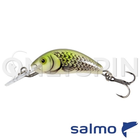 Воблер Salmo Hornet 03.5 F OHS