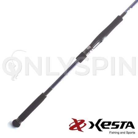Спиннинг Xesta Runway XR 3.2m 20-80gr 106MH The Versal Comander