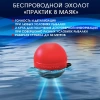 Эхолот Практик 8 Маяк