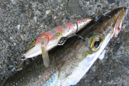 Крючки тройные Decoy Y-S25 #12 8шт