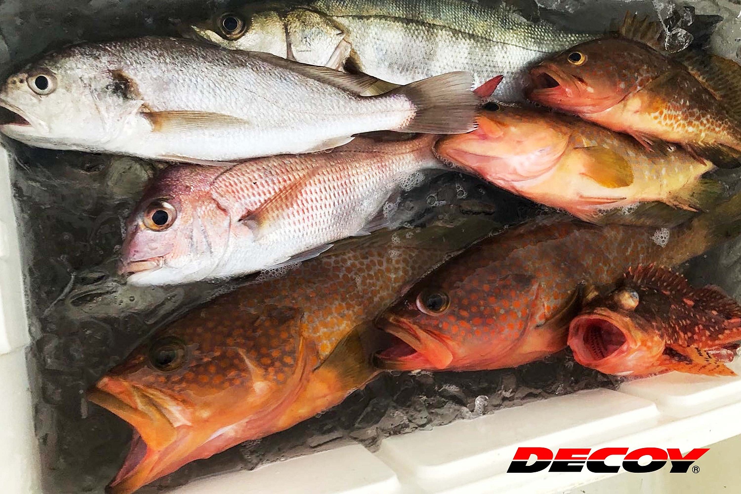 Крючки одинарные Decoy DJ-74 Super Light Assist Single #6 3шт