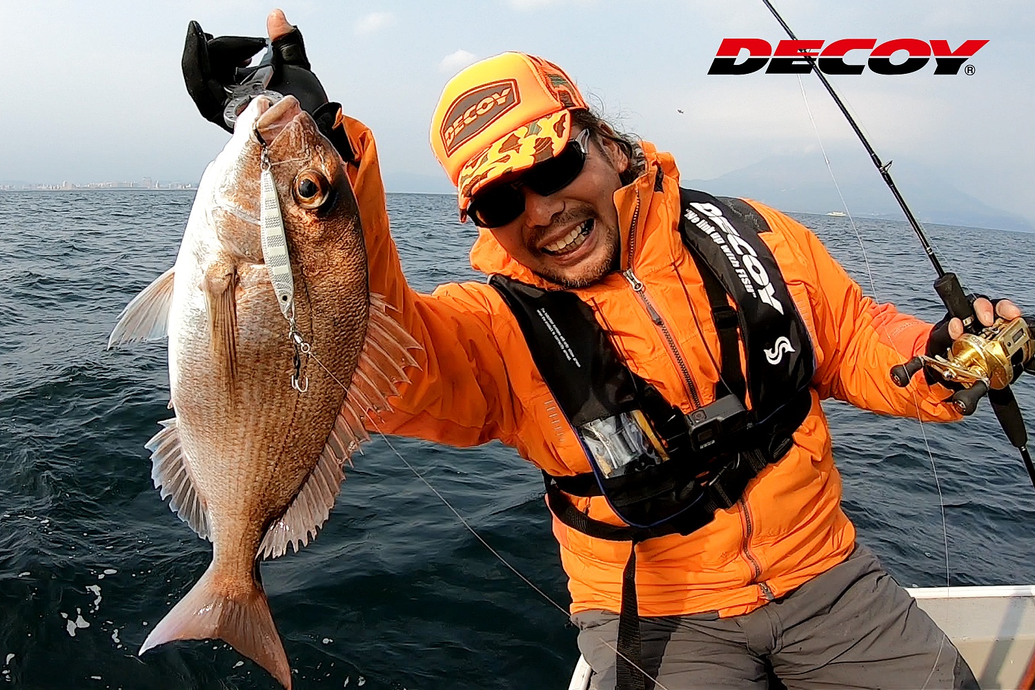 Крючки одинарные Decoy DJ-74 Super Light Assist Single #6 3шт