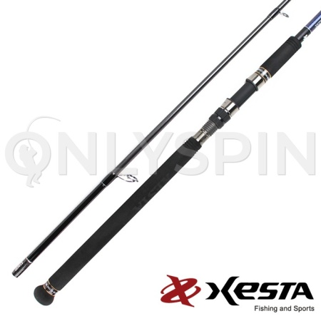 Спиннинг Xesta Runway XR 3.35m 20-80gr 11MH Blue Crome