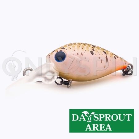 Воблер Daysprout Pico ChatteCra DR SSS Shark Miso