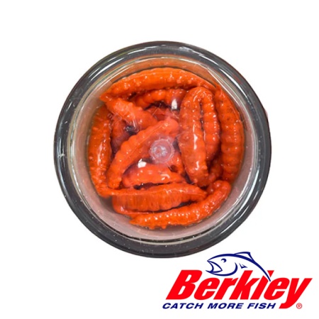 Мягкие приманки Berkley Power Garlic Honey Worm 25 Orange
