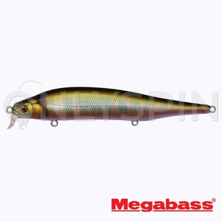 Воблер Megabass Ito Shiner SSR wagin oikawa