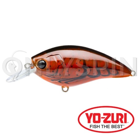 Воблер Yo-Zuri 3DR-X Crank SR 50F TBCF