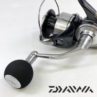Катушка Daiwa 24 Certate SW 5000-P